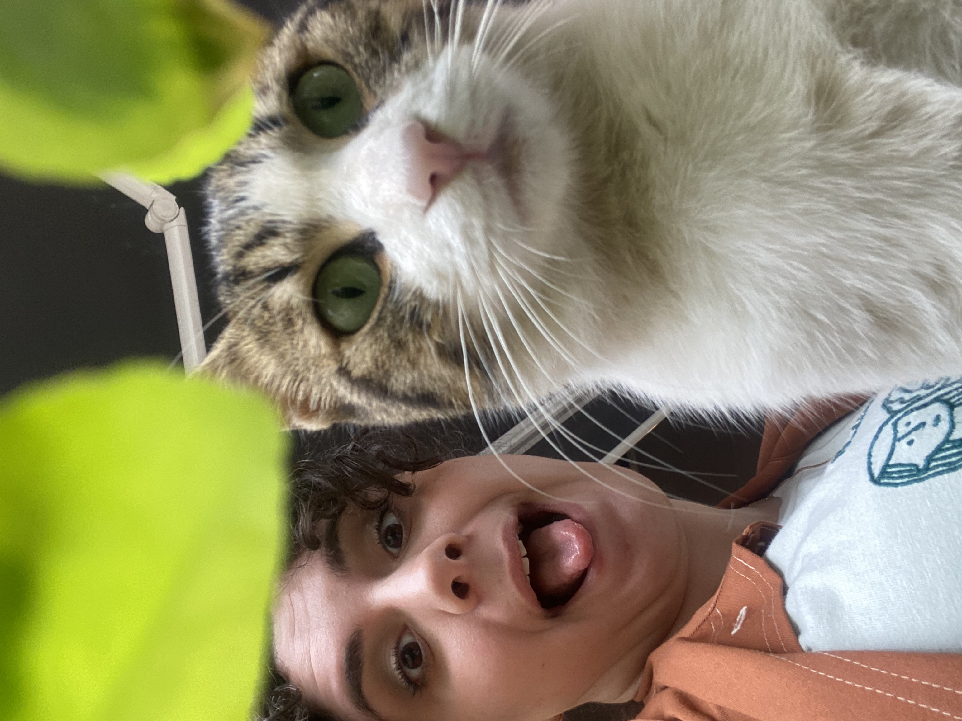 random cat photo taken by me